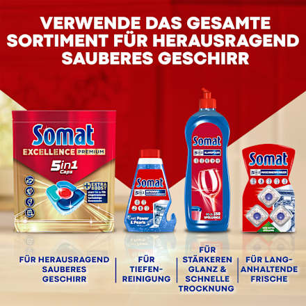 Maschinenreiniger Intensiv Somat