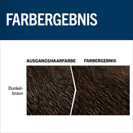 Tönung Bart 80 Dunkelbraun Schwarzkopf Men Perfect