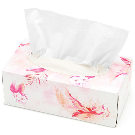 Fazzoletti cosmetici 2 veli ebelin