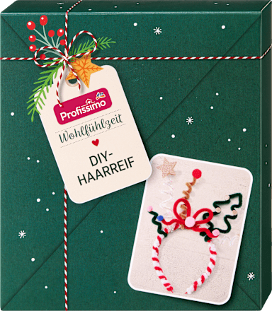 DIY Haarreif Profissimo