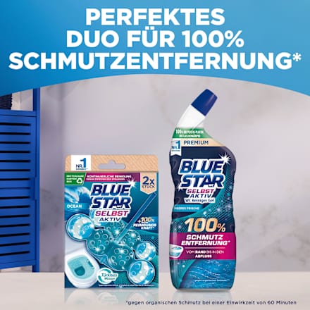 WC Reiniger Gel Selbst Aktiv Meeres Frische BLUE STAR