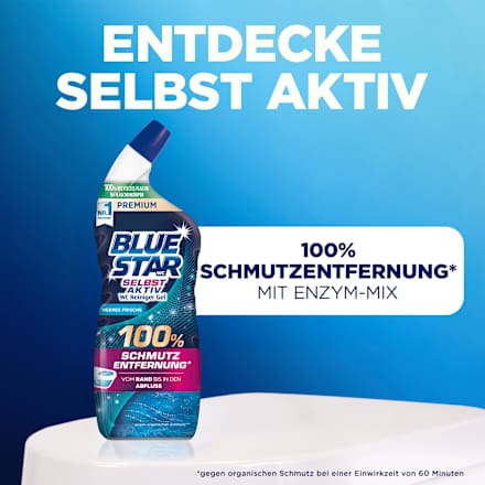 WC Reiniger Gel Selbst Aktiv Meeres Frische BLUE STAR