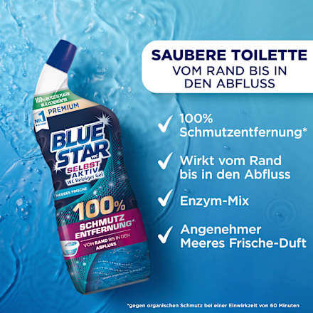 WC Reiniger Gel Selbst Aktiv Meeres Frische BLUE STAR