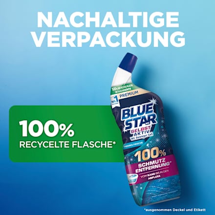 WC Reiniger Gel Selbst Aktiv Meeres Frische BLUE STAR