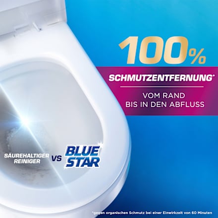 WC Reiniger Gel Selbst Aktiv Meeres Frische BLUE STAR