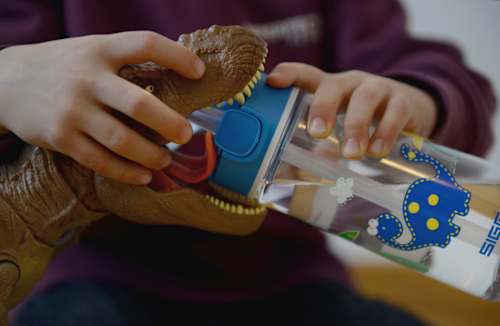 Trinkflasche Kinder Miracle Dinosaur Friend 450 ml SIGG