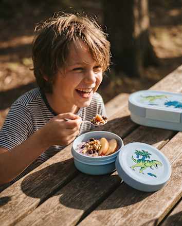 Snackbox Lumo Dinosaurs SIGG