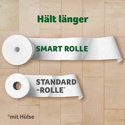 Toilettenpapier Smart 3-lagig (8x300 Blatt) Zewa
