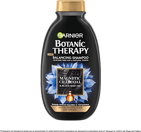 Шампоан за суха коса и мазен скалп Magnetic Charcoal GARNIER BOTANIC THERAPY