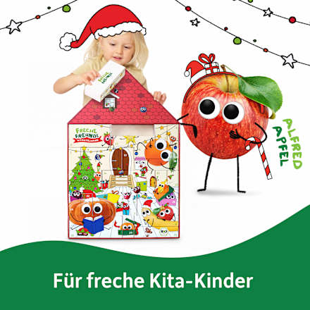 Adventkalender Wichtelhaus mit Bio-Kindersnacks + Playmobil Freche Freunde