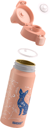 Trinkflasche ONE Kids My Universe 600 ml SIGG