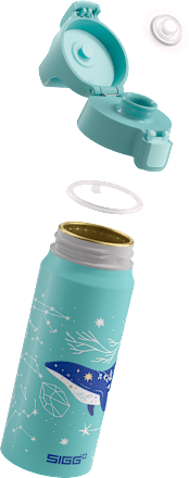 Trinkflasche ONE Kids Dive 600 ml SIGG