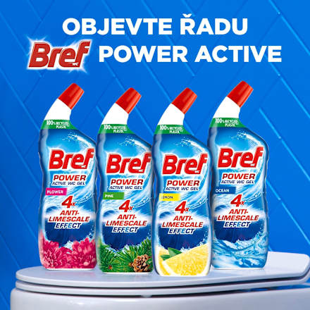 WC gel Power Aktiv Flower Bref