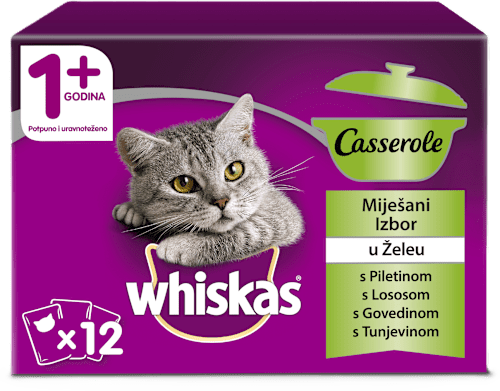 Miješani izbor u želeu Casserole whiskas