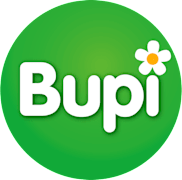Bupi