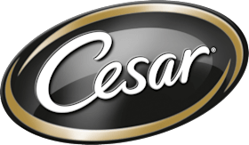 Cesar
