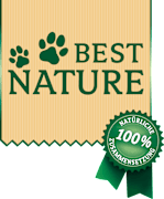 Dogs Best Nature