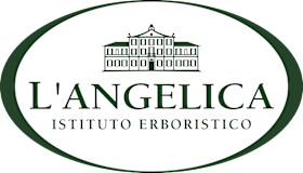 L'ANGELICA
