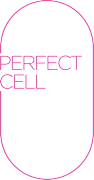 Perfect Cell