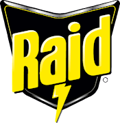 Raid