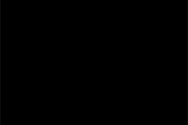AUGAMA