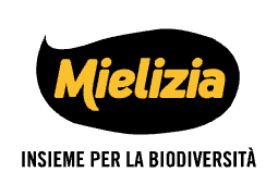 Mielizia