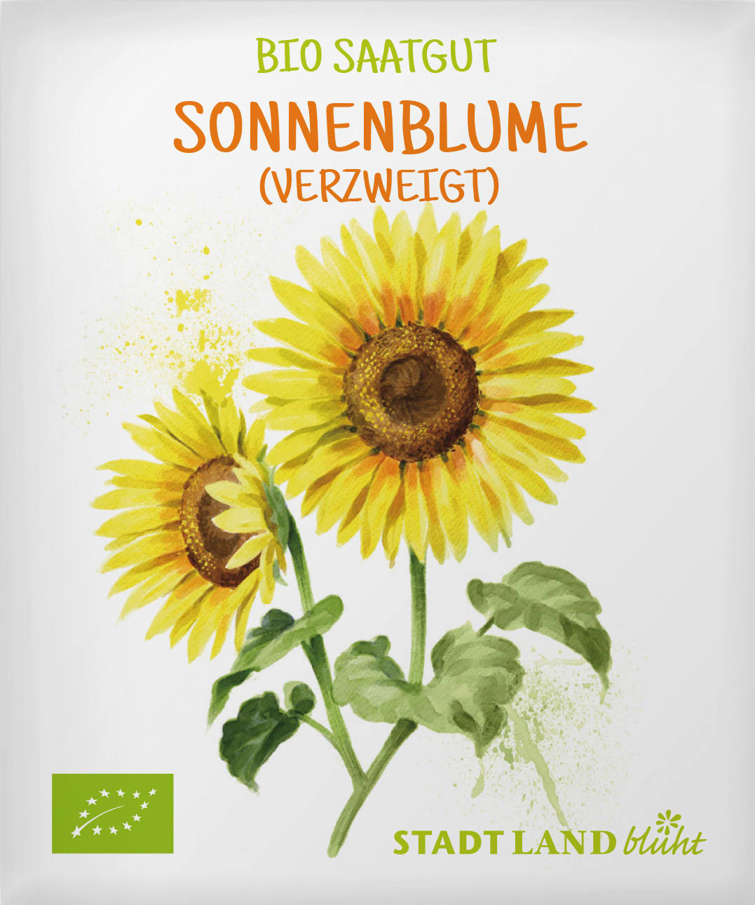 Saaten, Sonnenblume (grossblumig)