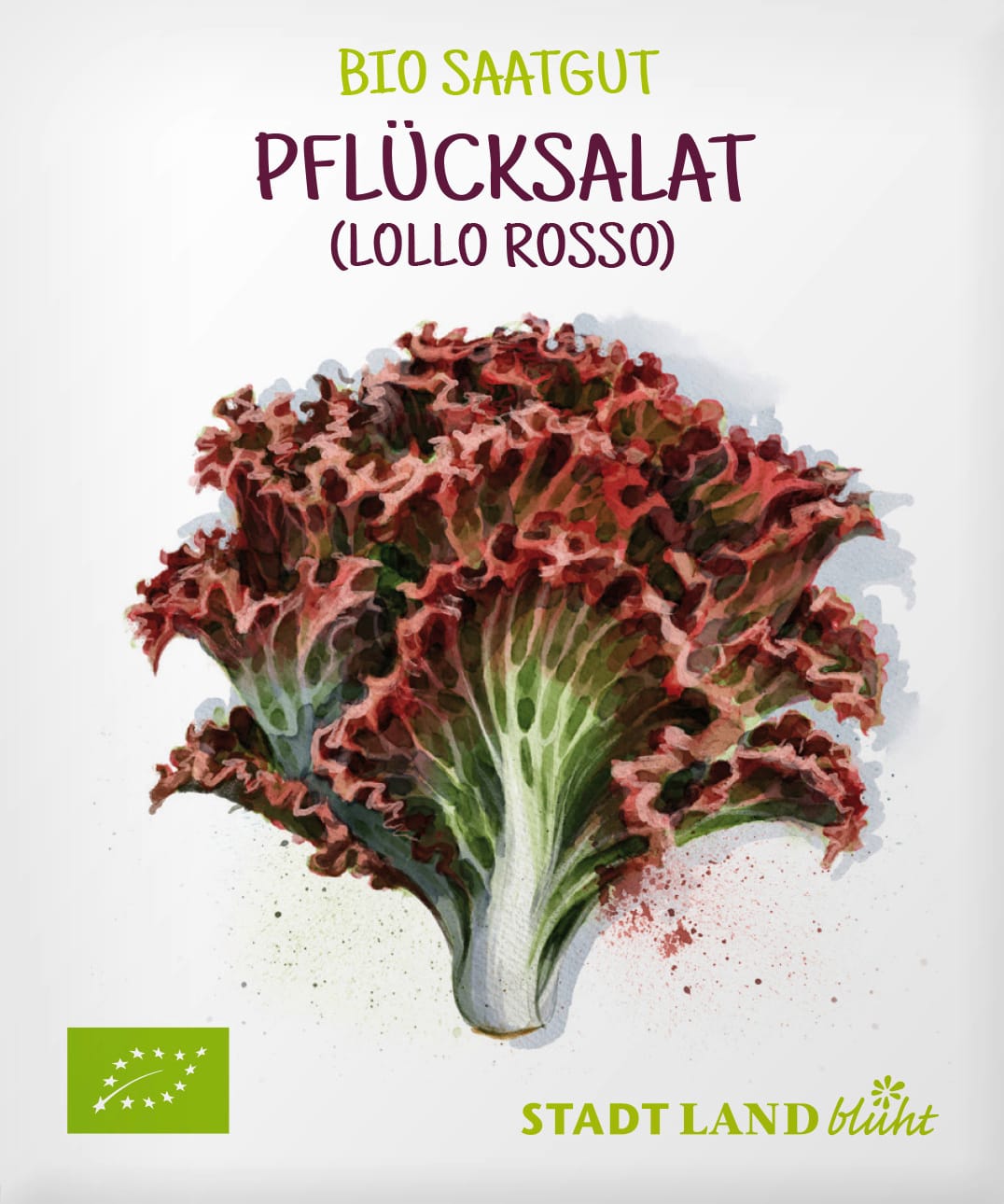 Saaten, Pflücksalat (Lollo Rosso)