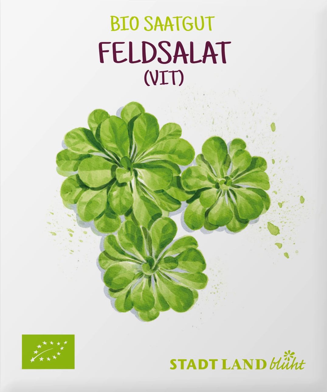 Saaten, Feldsalat (VIT)